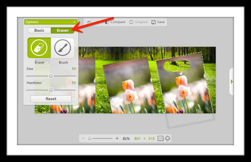 Spring Timeline Cover Photo and eraser for Photo Montage