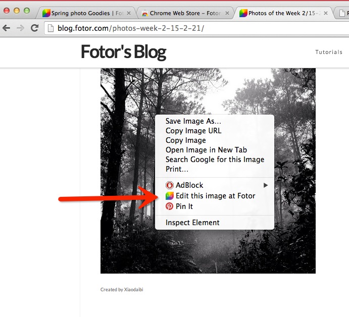 Right click Fotor Chrome Extension sidebar