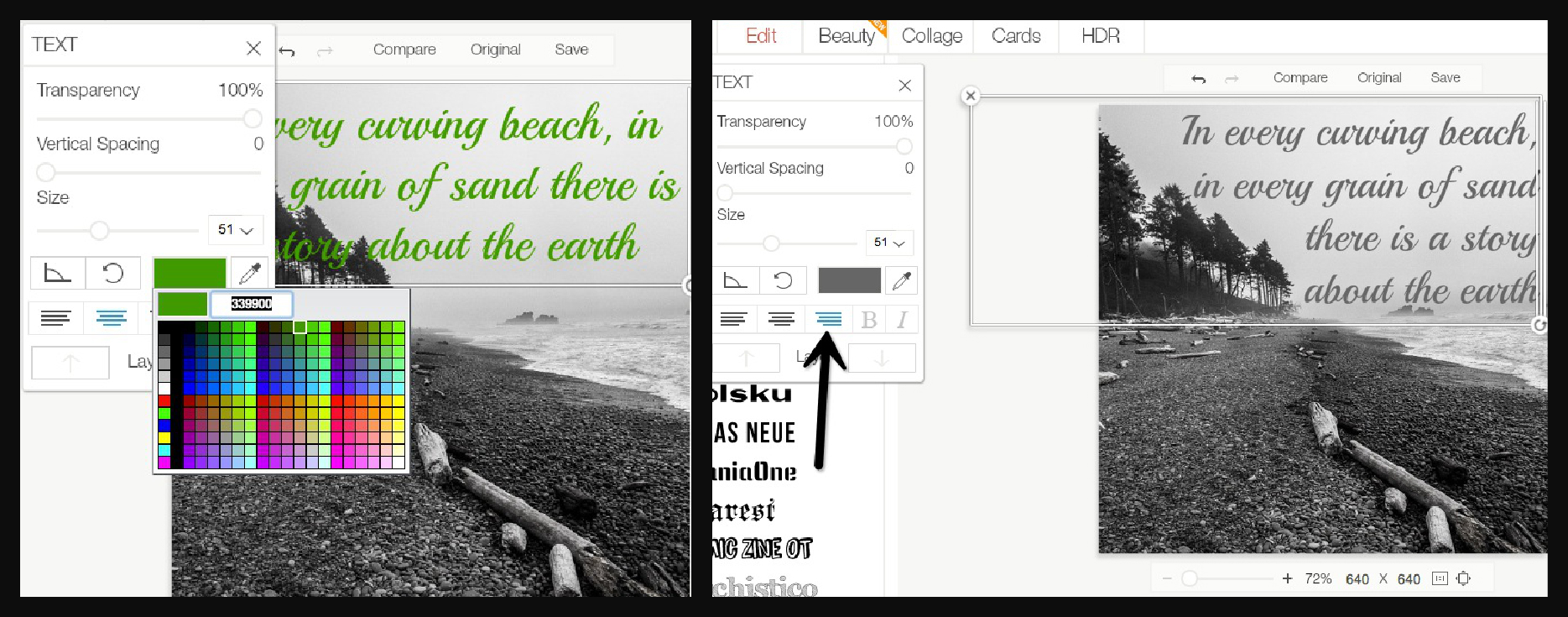 Color and layout with photo text function