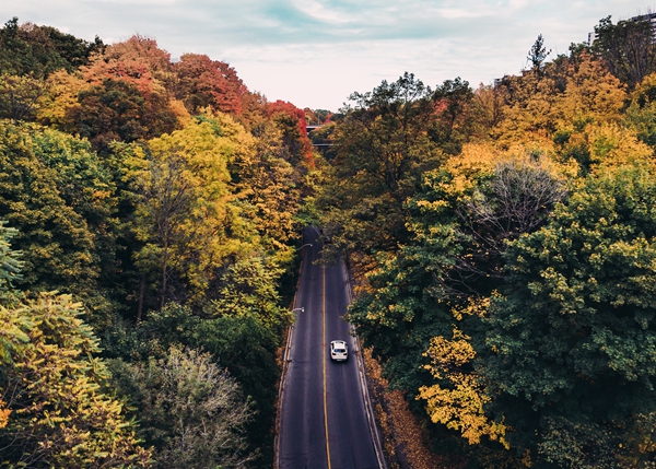 Colourful Roads in Canada in the Fall