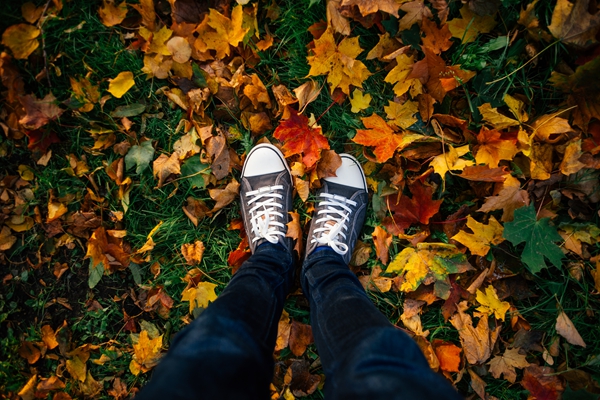 Teenage legs in sneakers in autumn leaves