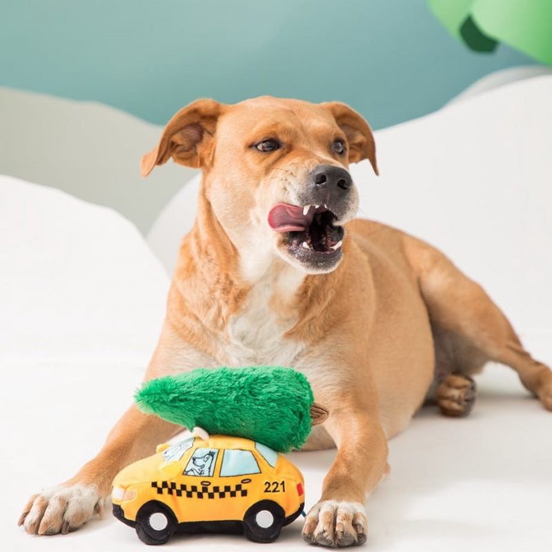 a dog with a car and tree doll