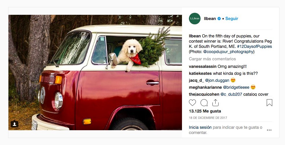 an instagram post with a puppy photo contest